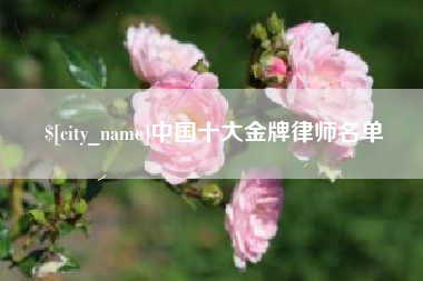 中卫中国十大金牌律师名单