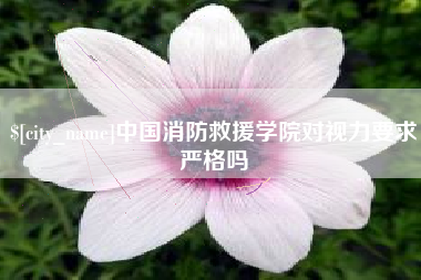中卫中国消防救援学院对视力要求严格吗
