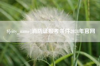 中卫消防证报考条件2024年官网