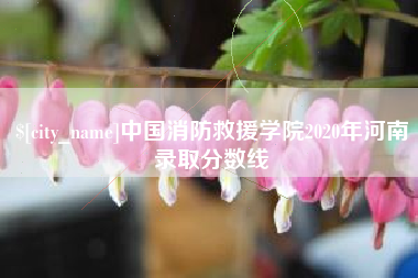 中卫中国消防救援学院2020年河南录取分数线