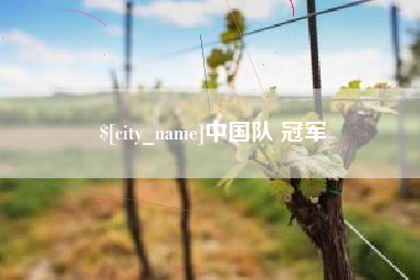 中卫中国队 冠军