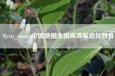 中卫中国地图全图高清版省份划分