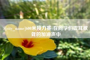 中卫600米接力赛-在同学们震耳欲聋的加油声中