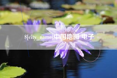 中卫中国地图 电子