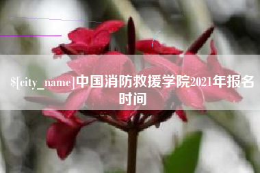 中卫中国消防救援学院2021年报名时间
