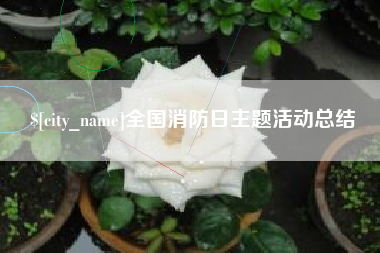 中卫全国消防日主题活动总结
