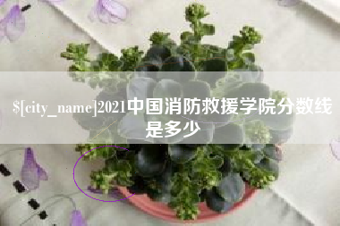 中卫2021中国消防救援学院分数线是多少