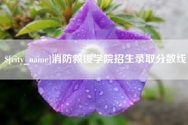 中卫消防救援学院招生录取分数线
