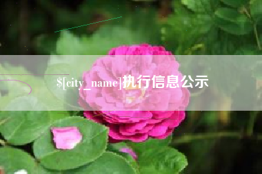 中卫执行信息公示