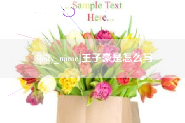 中卫王子豪是怎么写