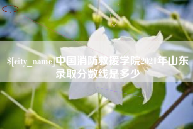 中卫中国消防救援学院2021年山东录取分数线是多少