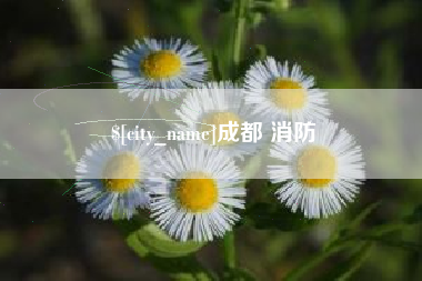 中卫成都 消防