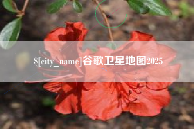 中卫谷歌卫星地图2025