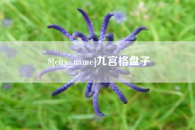 中卫九宫格盘子