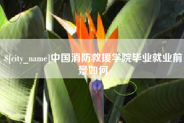 中卫中国消防救援学院毕业就业前景如何