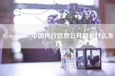 中卫中国执行信息公开网是什么东西