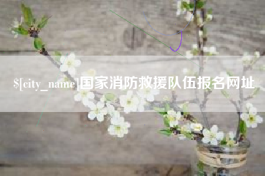 中卫国家消防救援队伍报名网址