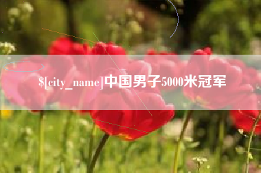 中卫中国男子5000米冠军