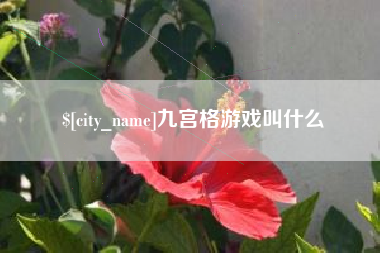中卫九宫格游戏叫什么