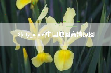 中卫中国地图高清原图
