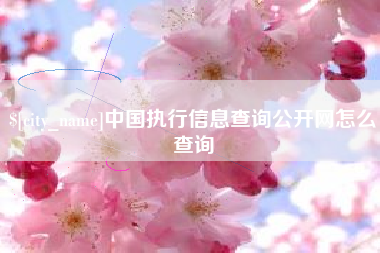中卫中国执行信息查询公开网怎么查询