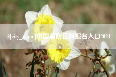 中卫中国消防官网报名入口2024