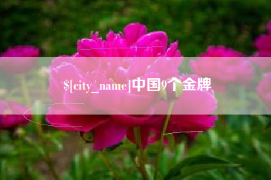 中卫中国9个金牌