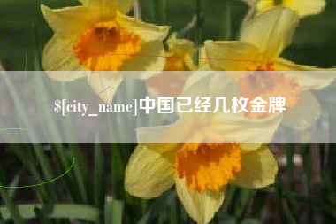 中卫中国已经几枚金牌
