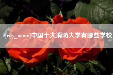 中卫中国十大消防大学有哪些学校