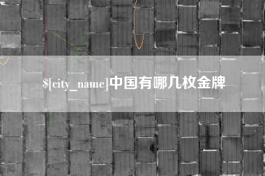 中卫中国有哪几枚金牌