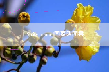 中卫国家队图案