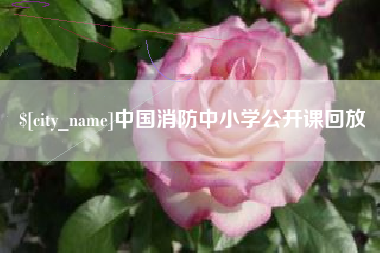 中卫中国消防中小学公开课回放