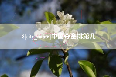 中卫中国夺金排第几