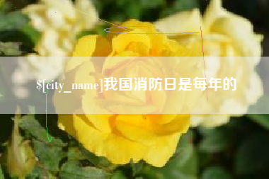 中卫我国消防日是每年的