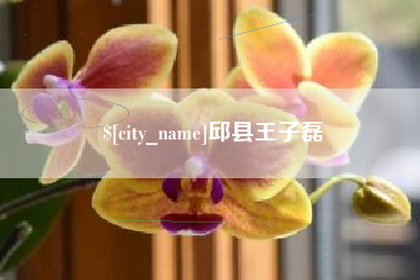 中卫邱县王子磊