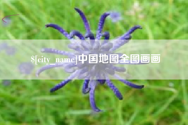 中卫中国地图全图画画
