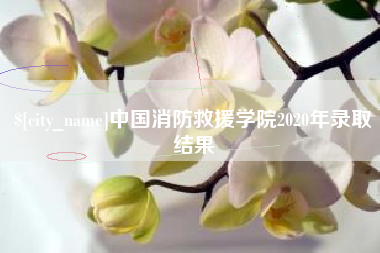 中卫中国消防救援学院2020年录取结果
