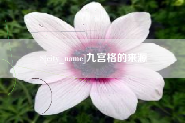中卫九宫格的来源