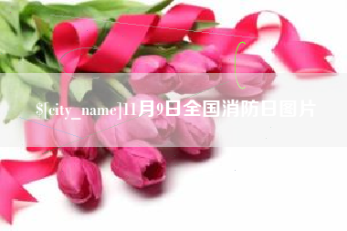 中卫11月9日全国消防日图片