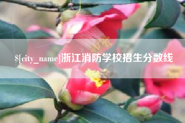 中卫浙江消防学校招生分数线