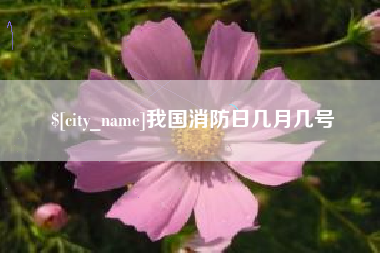 中卫我国消防日几月几号