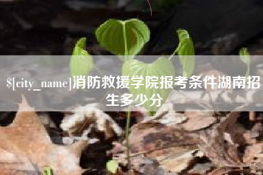 中卫消防救援学院报考条件湖南招生多少分