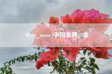 中卫中国金牌18金