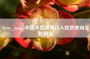 中卫中国失信被执行人信息查询公开网址