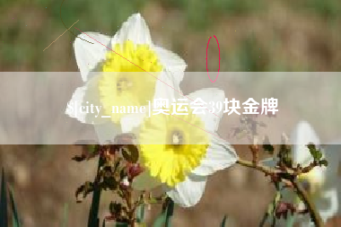 中卫奥运会39块金牌