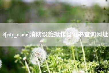 中卫消防设施操作员证书查询网址