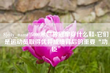 中卫5000米世界冠军穿什么鞋-它们是运动员取得优异成绩背后的重要“功臣”