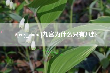 中卫九宫为什么只有八卦