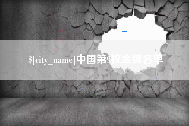 中卫中国第9枚金牌名单