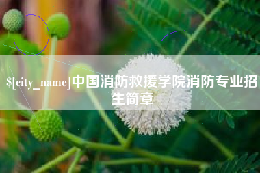 中卫中国消防救援学院消防专业招生简章
